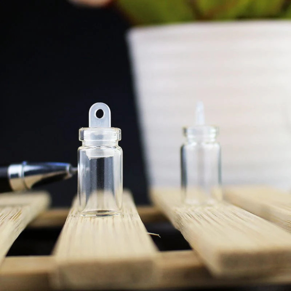 Glass Bottles (10pcs)