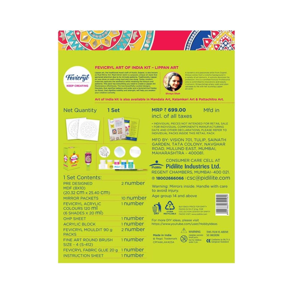 Fevicryl Lippan Art Kit