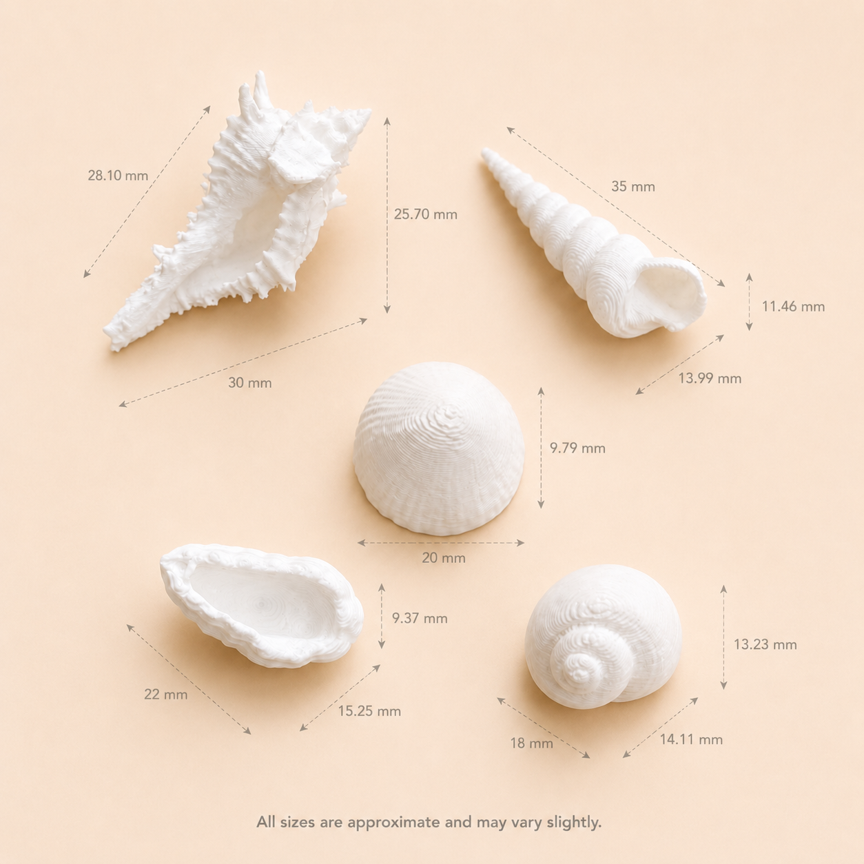 Assorted miniature seashells variety pack for resin inclusions and beach theme crafts