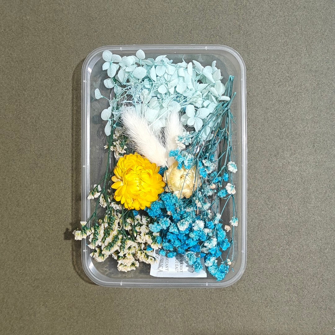 Dry Flower Box (D11)