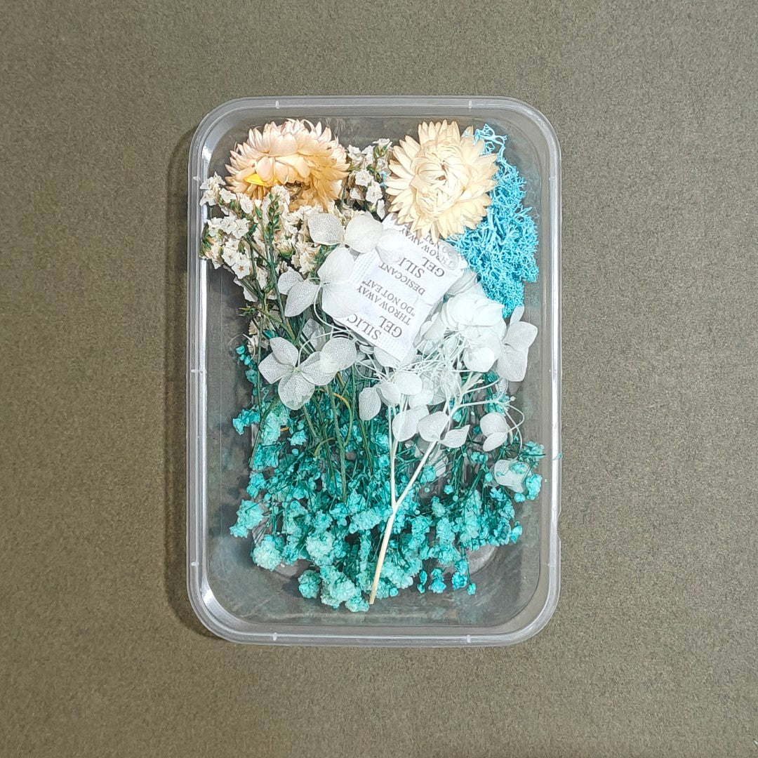 Dry Flower Box (D13)