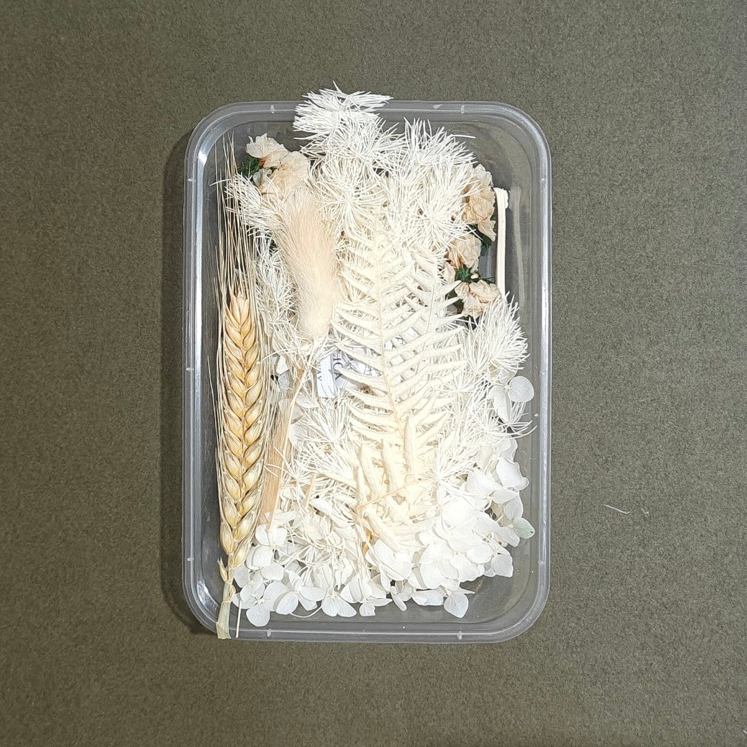 Dry Flower Box (D14)