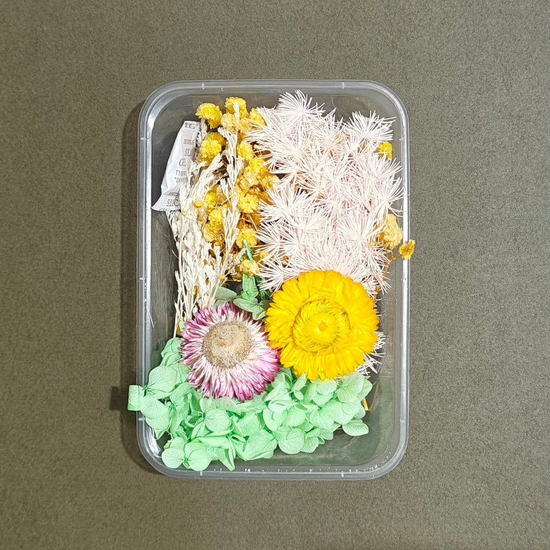 Dry Flower Box (D21)