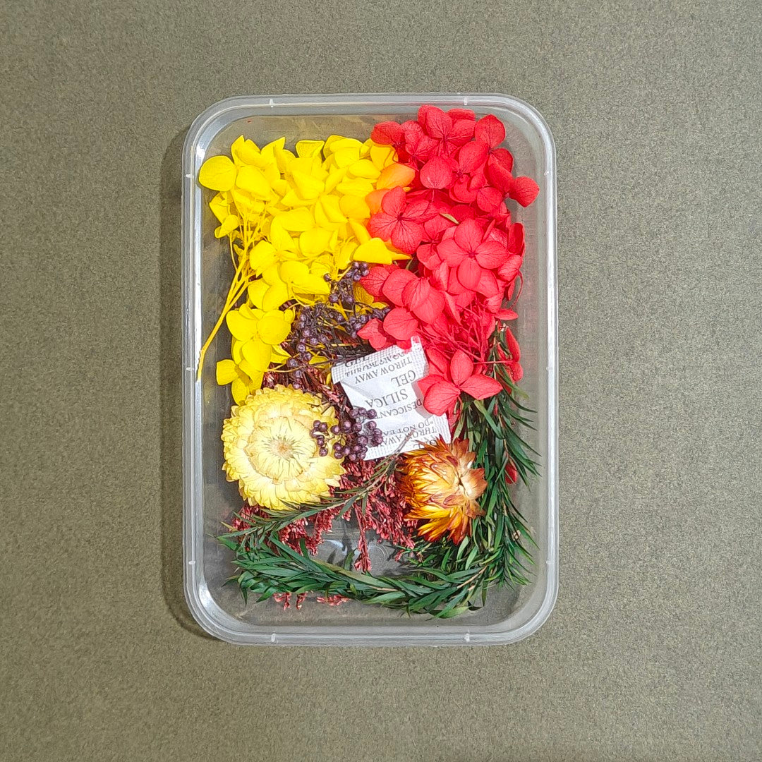 Dry Flower Box (D3)