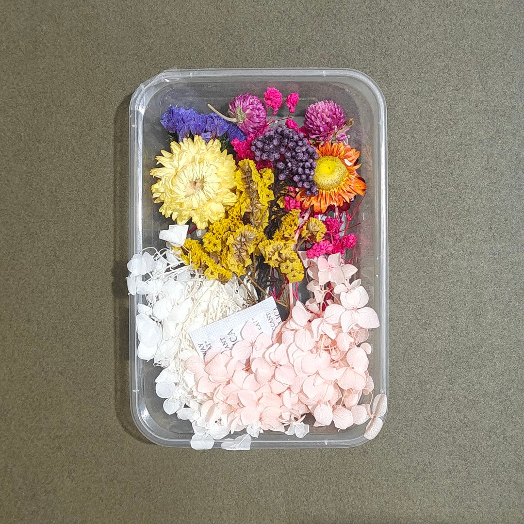 Dry Flower Box (D6)