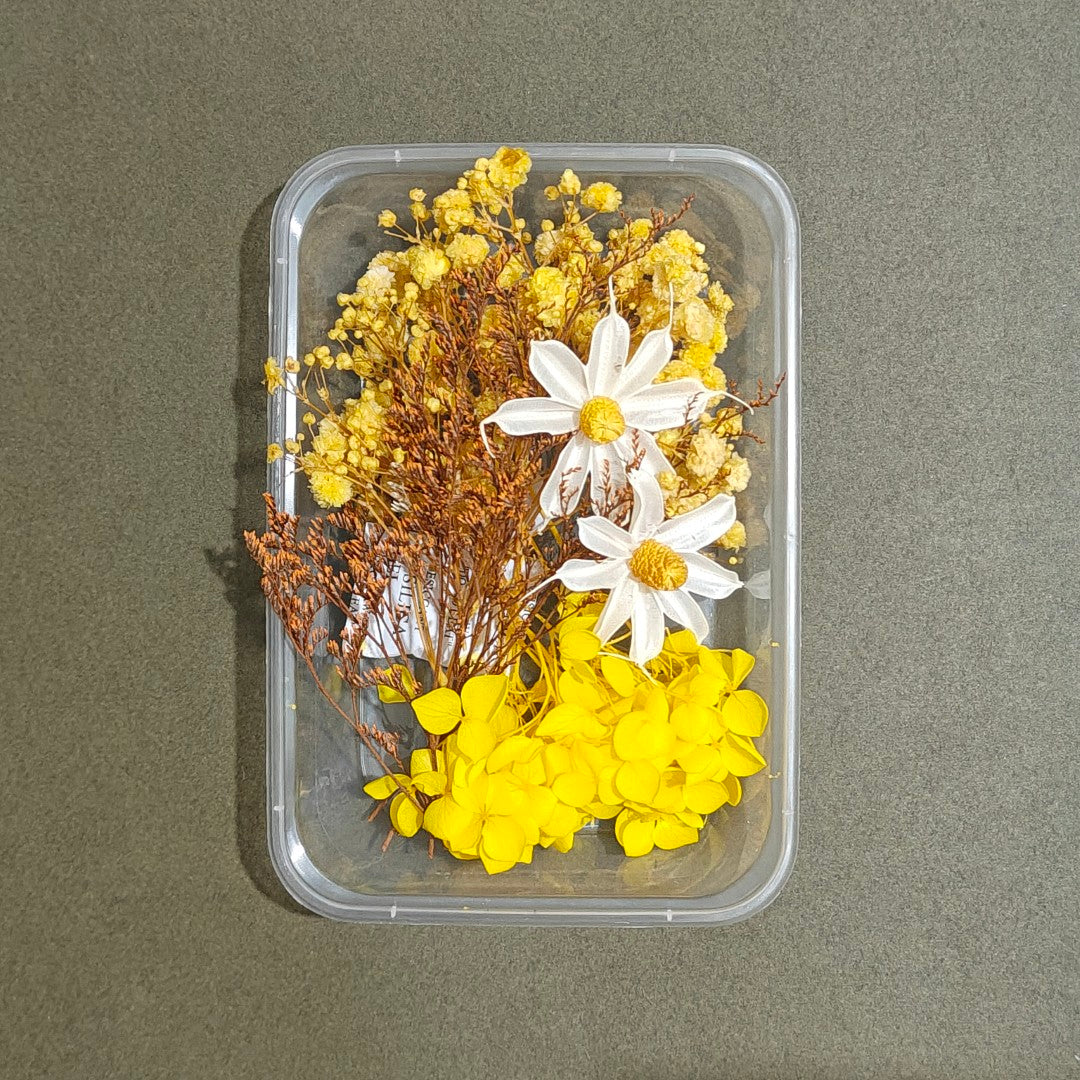 Dry Flower Box (D8)