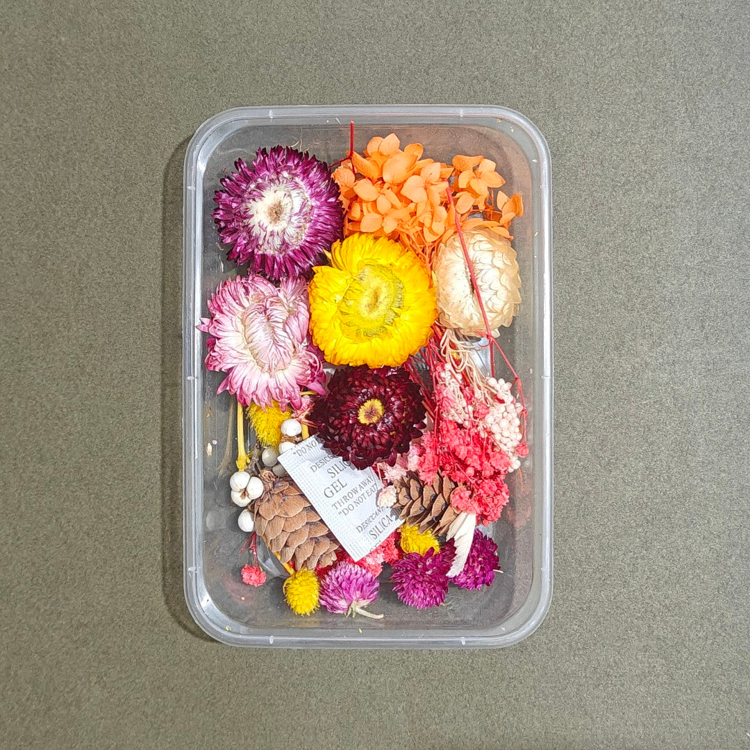 Dry Flower Box (D9)