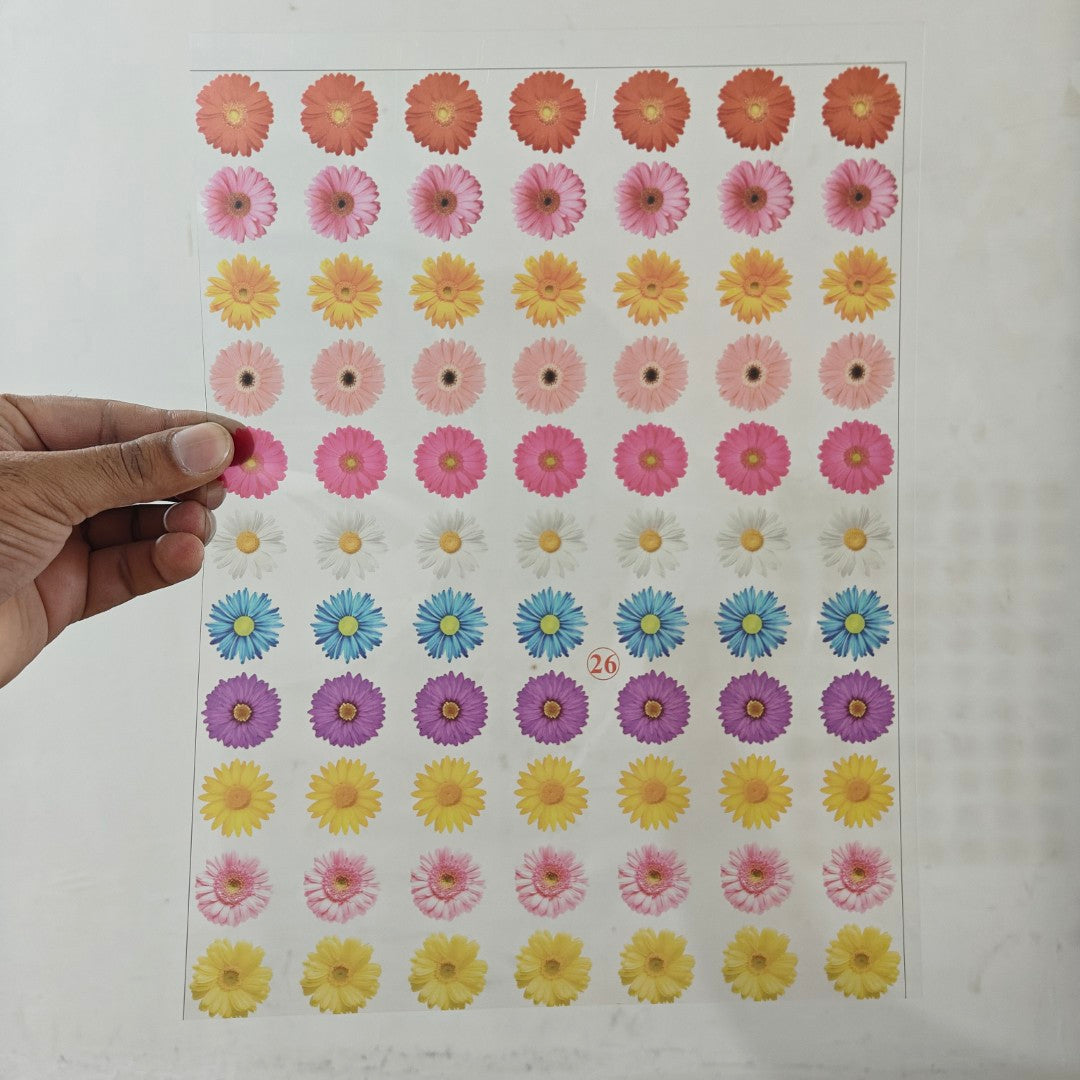 A4 Transparent Insert Sheet (D26)