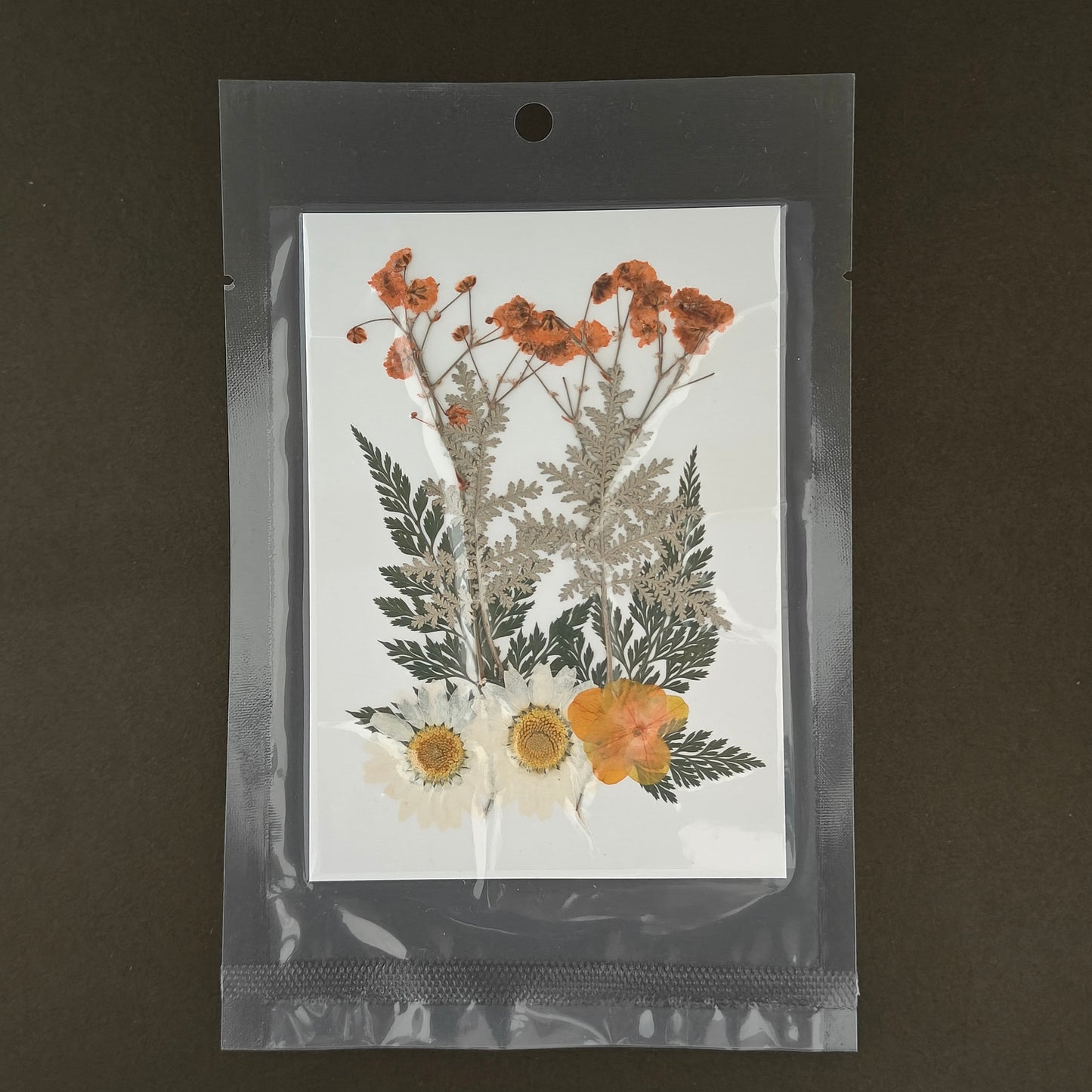 10 in 1 Pressed Flower - D4