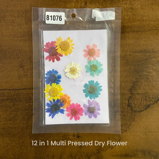 12in1 Multi Pressed Dry Flower