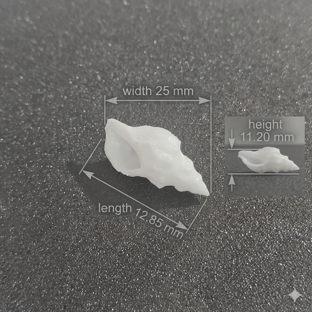 Small conch shell miniature craft embellishment for resin and DIY decor