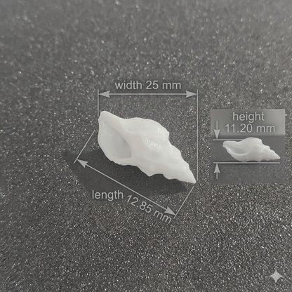 Small conch shell miniature craft embellishment for resin and DIY decor