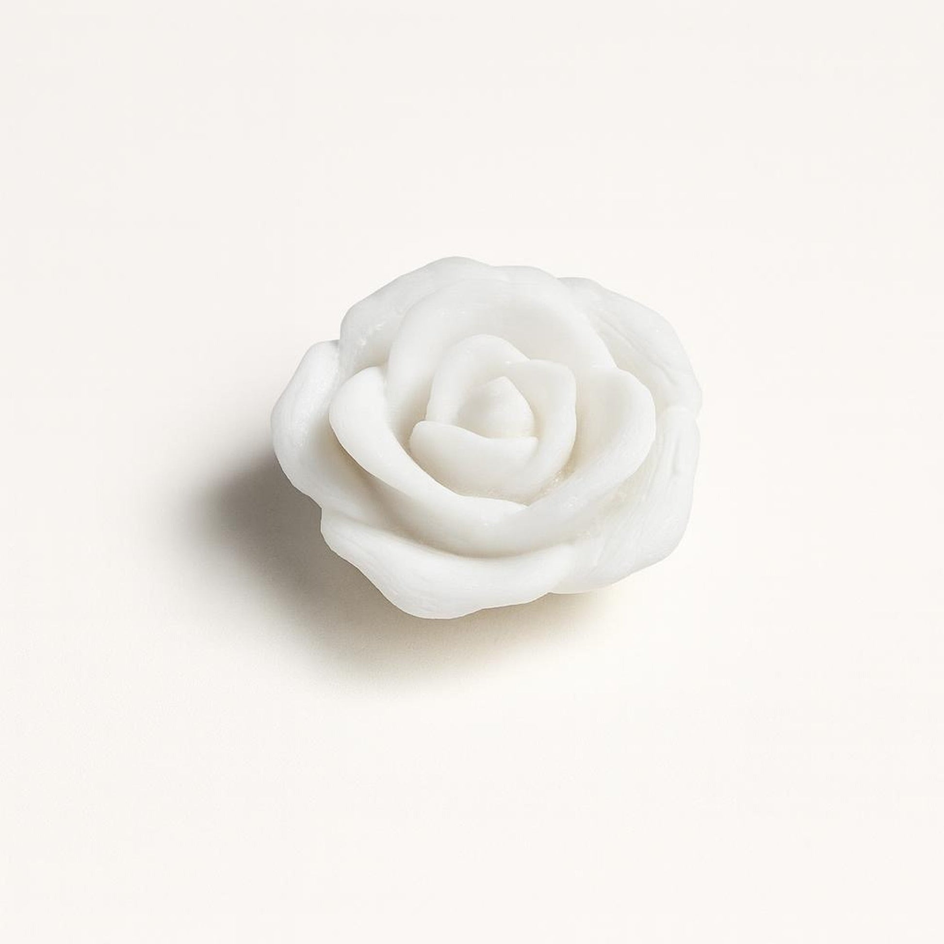 Lotus Miniature — Shrebhavi