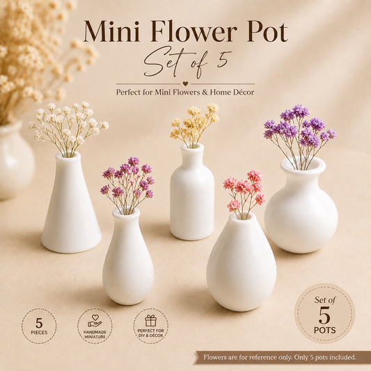 Mini Vase Set (5pcs) 3D Miniature