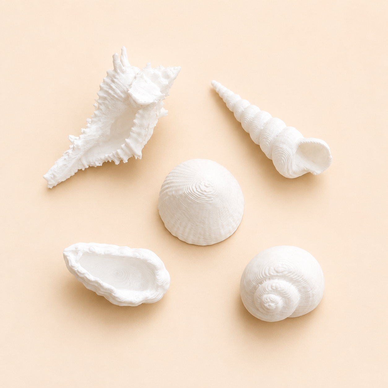 Seashell Assorted Miniature Set - mixed small seashells for resin art and craft projects