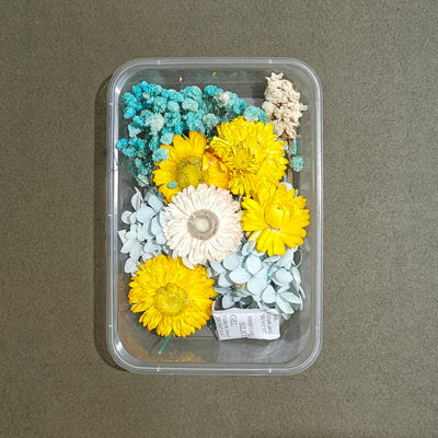 Dry Flower Box (D19)