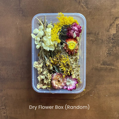 Dry Flower Box (Random Design)