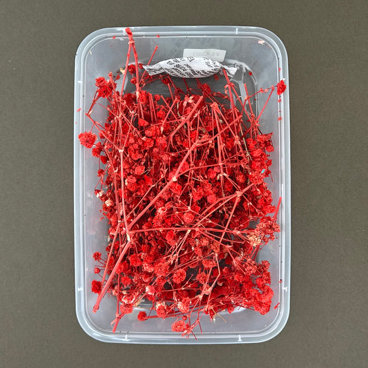 Baby Breath Dry Flower Box (Red)