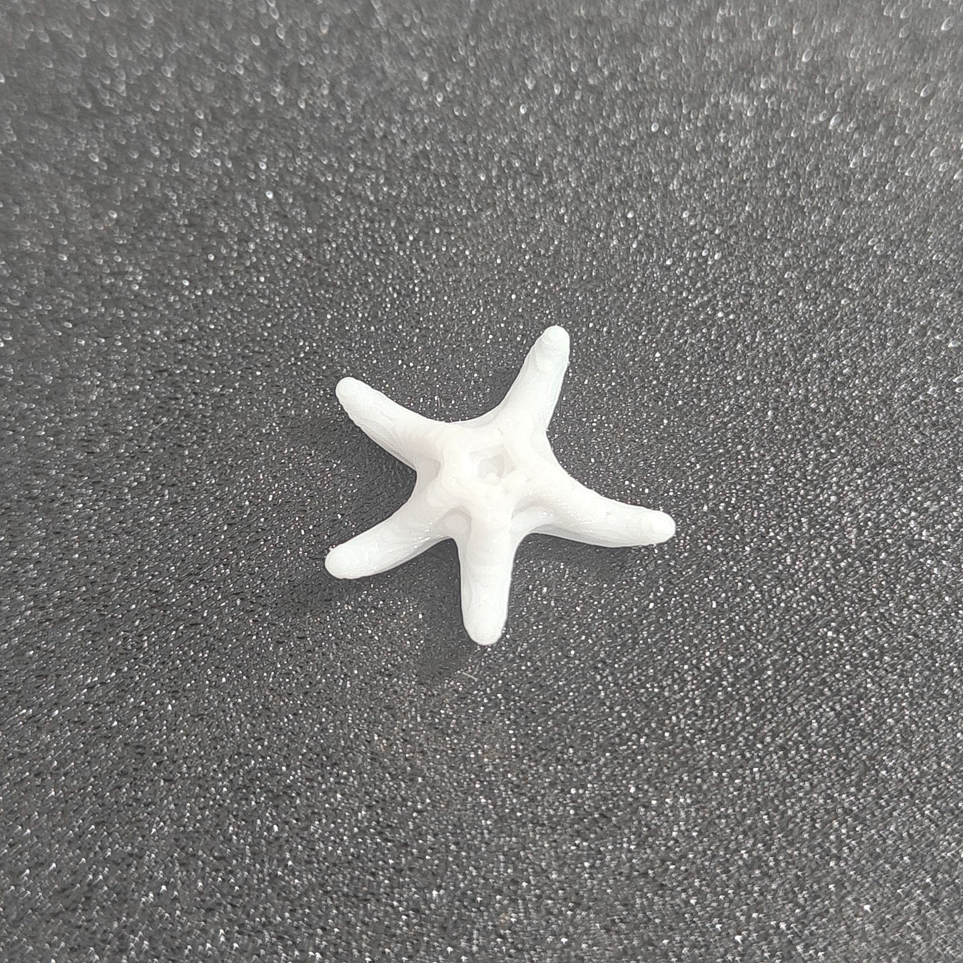 Starfish miniature for resin art and craft projects by Shrebhavi