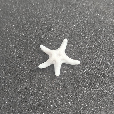 Starfish Miniature