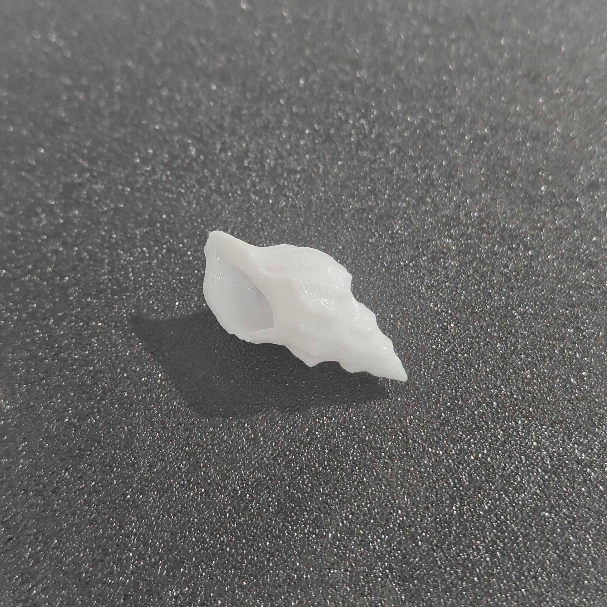 Conch miniature for resin art and craft projects by Shrebhavi