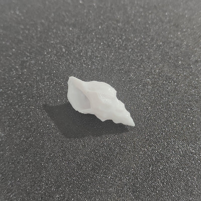 Conch Miniature