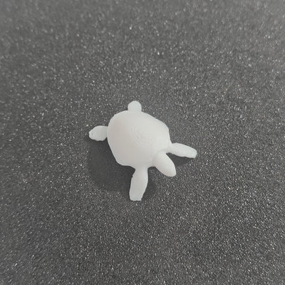 Turtle Miniature
