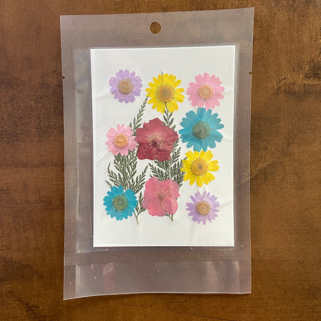 12 in 1 Pressed Flower