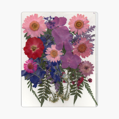 25in1 Pressed Flower