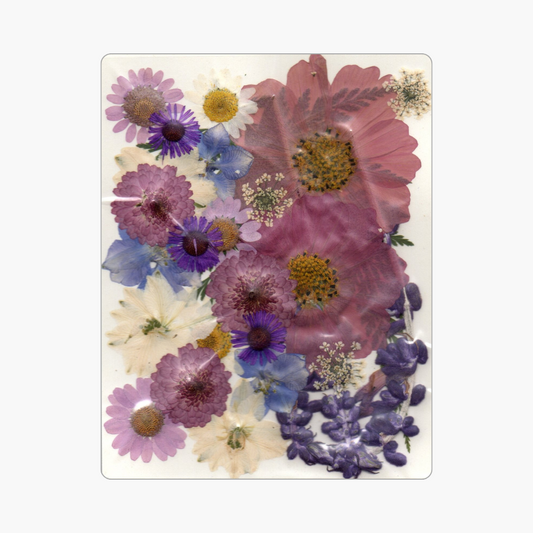 27in1 Pressed Flower