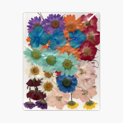 32in1 Pressed Flower