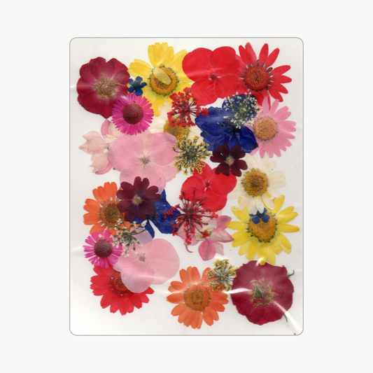 30in1 Pressed Flower (Design 1)