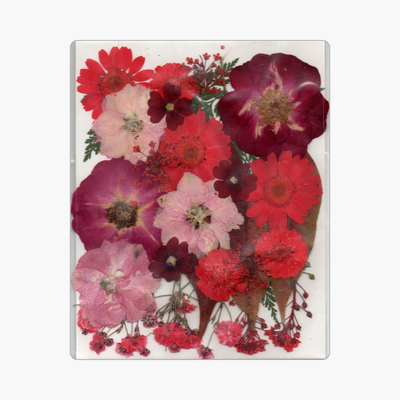 28in1 Pressed Flower (D1)