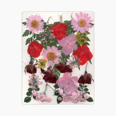 28in1 Pressed Flower (D2)