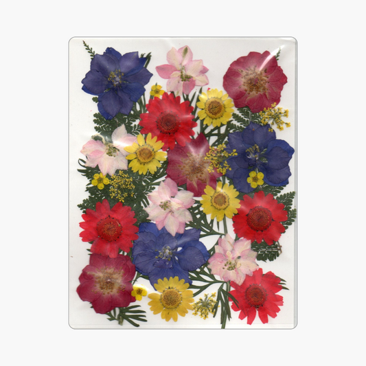 30in1 Pressed Flower (Design 2)