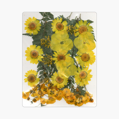 28in1 Pressed Flower (D3)