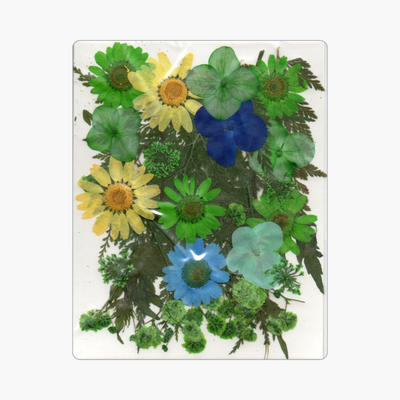 28in1 Pressed Flower (D4)