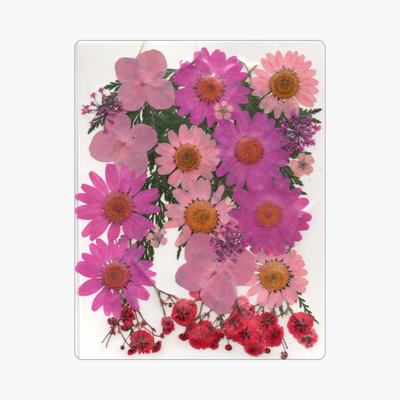 28in1 Pressed Flower (D6)