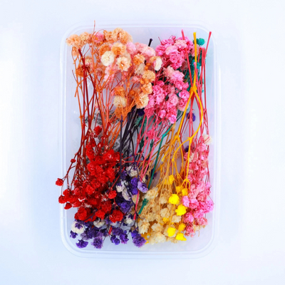 Baby Breath Dry Flower Box (Multi)