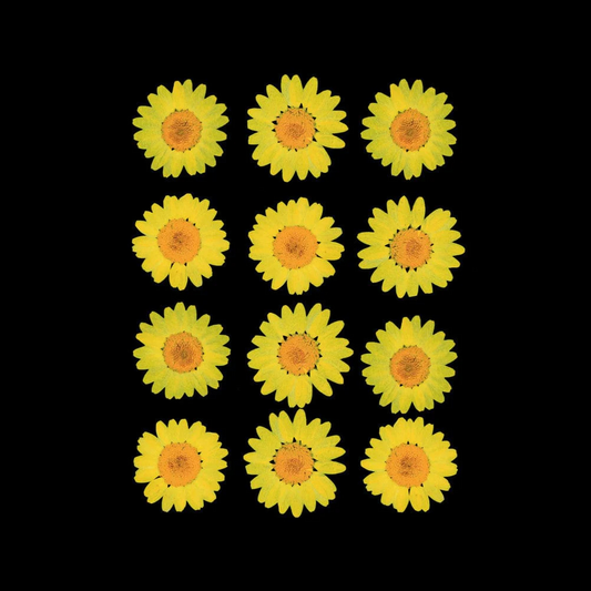 12 in 1 Pressed Flower (Yellow)
